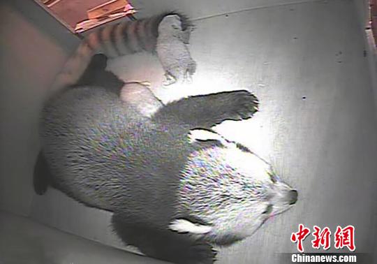 ���J������]�ظ������Z�M�L �L�Q�����e��f(��)