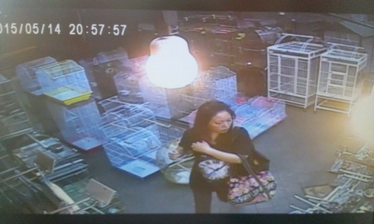 ������]�_��ծ{����x�M ���K:�a�ͤ����]�I�I��