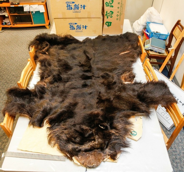 ���W���v�q�饻��������ѯ����