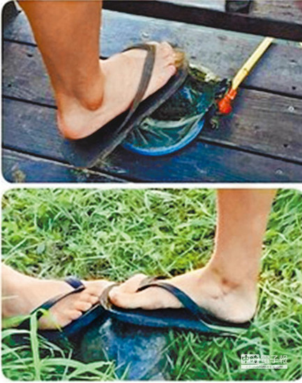 哥ħʹɯyթڨ{IVmҐʐ