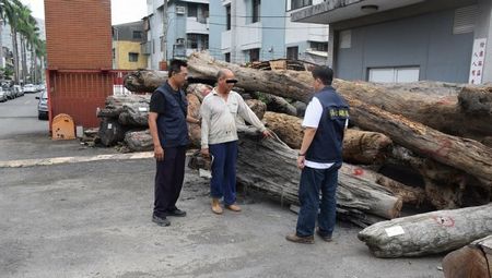 �����ٹ��������s���Y�}�y����e�����ʐ�