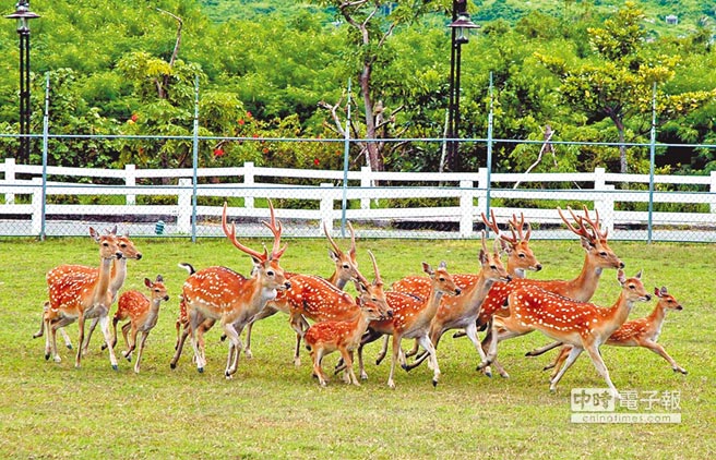 �M�n�����սT�f�V�K�o�y�K�˯b�d�B���s�ޤ��~���p�פ��n��