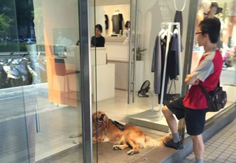 �����©�������L�W�Ҥ����� ���v�n�l���I�͐��ʐ�