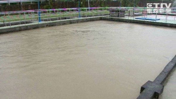 �k�V�B����t6�������哥����12�ȳv���L�T���V