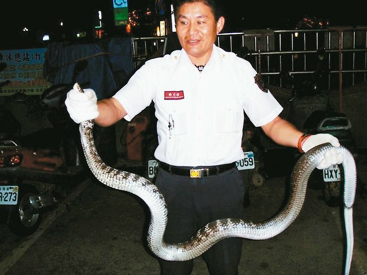 �n�f�a�������z�zâ������Z19��K�ߕh��������F���@�������������������v�ޥ��n�������z�����Y���������K�����p�L�ʐ�