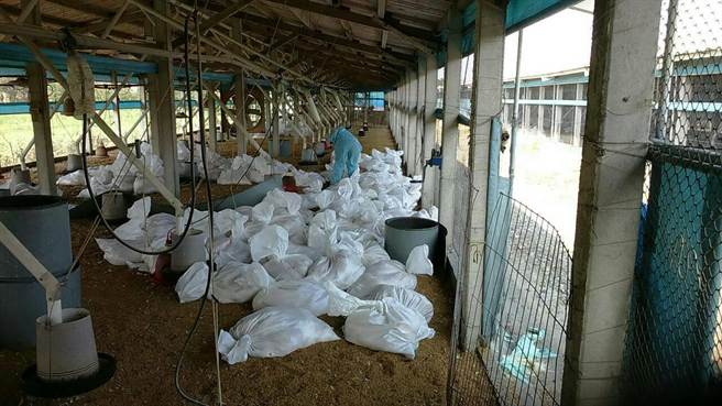 ���W�q�ƒ꽯�ϒ����F�V���y�F 2���꽯�j�V��