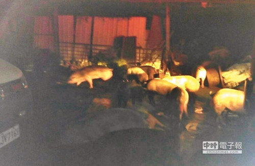 ���W�÷��x���v�V�r����300���W����k����ʐ�