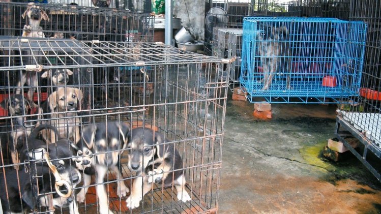 N墮里簷阿g|生Y齖N矠t瓷峊蟑犰n狶洱洱N墮安Μ容之煄o羉崔之龜牙N墮h粄 N墮里簷阿g|生Y齖N矠t瓷峊蟑犰n狶洱洱N墮安Μ容之煄o羉崔之龜牙N墮h粄