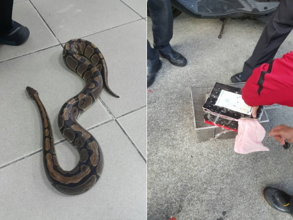 ���κ���켦���I�m�����]�t ����Ī�|��~�u���z