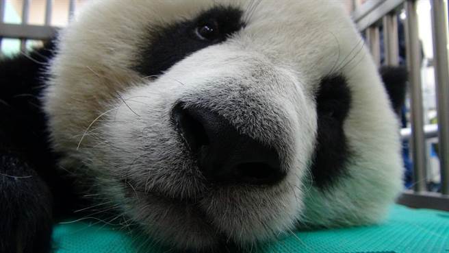 �L���n���y���~�ưw�ޥ��g���ݔ��G�|�i��L�������/�K���ȹq��p�L��