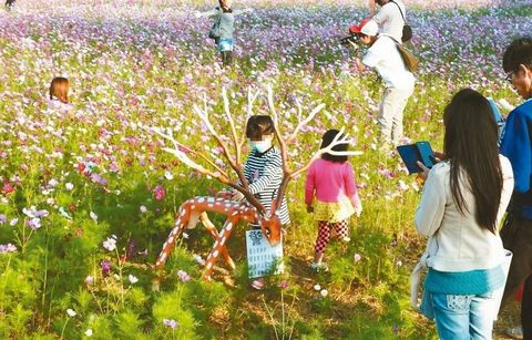 ��������������t�����秤�a�L���ԡ��s����ʐ�