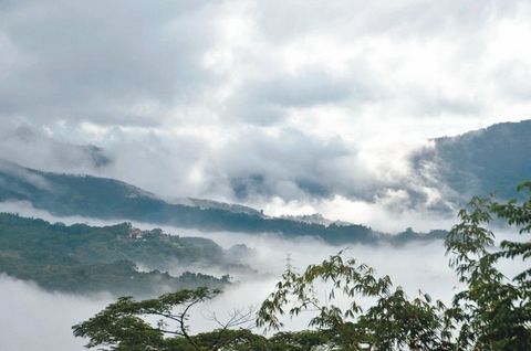 ���h���`�������}�����硤�W�m���t�E���ʐ�