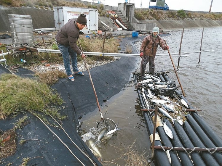 �H�y���w���l�Z����� ��k�l�����_����(��)