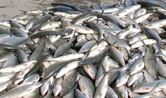 �H�y���w��ҧ�l�Z���l�Y��