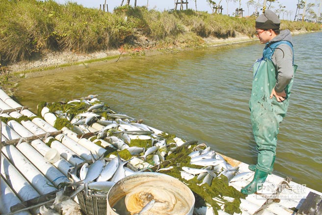 ��H���Ϸl7.7�f�}11�e�~�� �l�Z�{�G�԰����`