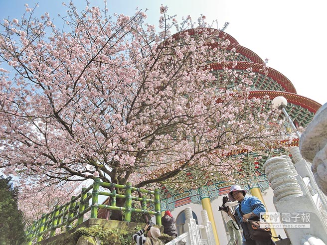 �H�y����������N�I �n�ѣV�K����(��)