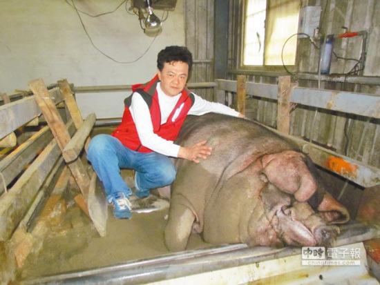 ���W�ת��I�����M����ē|�1306���K�R���ʐ�