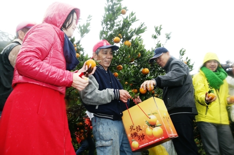 ��H�����T�V�İ����t�` 12�Rڦ�1000��