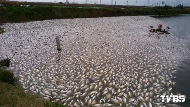 Hy̔Z WL`eklG Hy̔Z WL`eklG