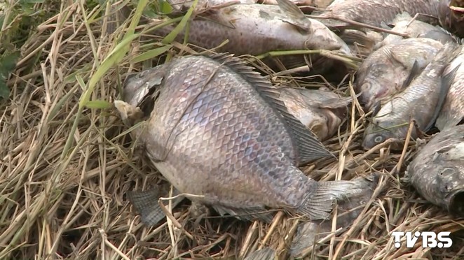 Hy̔Z WL`eklG Hy̔Z WL`eklG