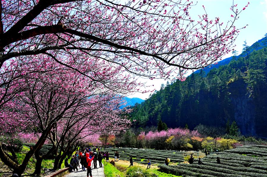 ���ͺA����1�����W���n�俰��