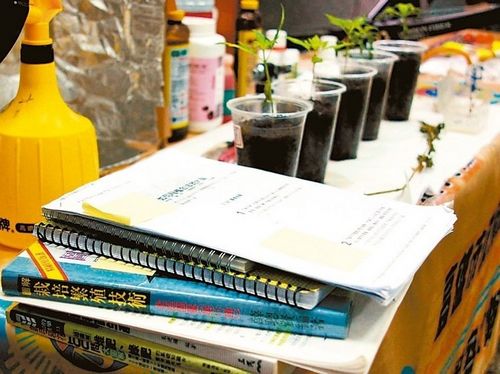 ���L�Γ��L򳡲�m���p�üZ�����n�P�������ʐ�