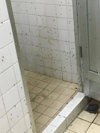 ���\��ͯD���E�e�� �\���~���x�ˤ��l޽�m���ʐ�