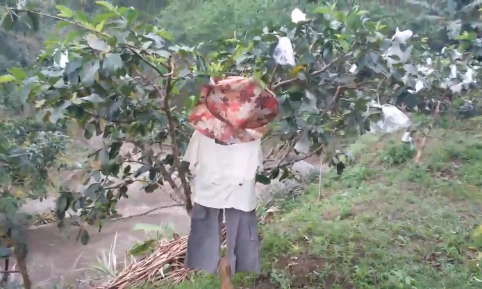 ���W���y�{�� �Δ@�V�ĩԒ��m�S�C����