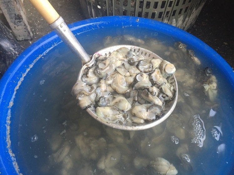 ���W�H�n1�뤺������40�� ���O�k�����ӶQ�m���~