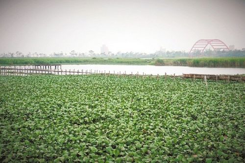 ���u���￵�������ι��|���^ 52�ҷ��H�]���Y�Ѹj��