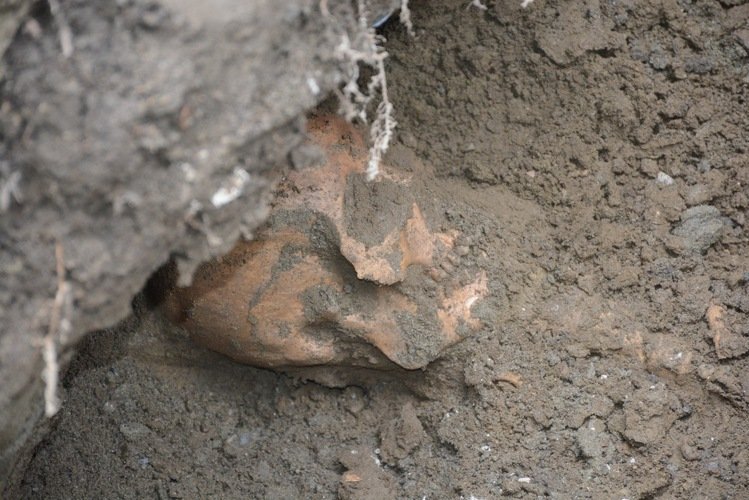 ���W���ߒؕV���U�|��e���e���ʐ�