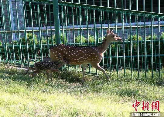 ���W���e���J�����աL���塲���ا����L