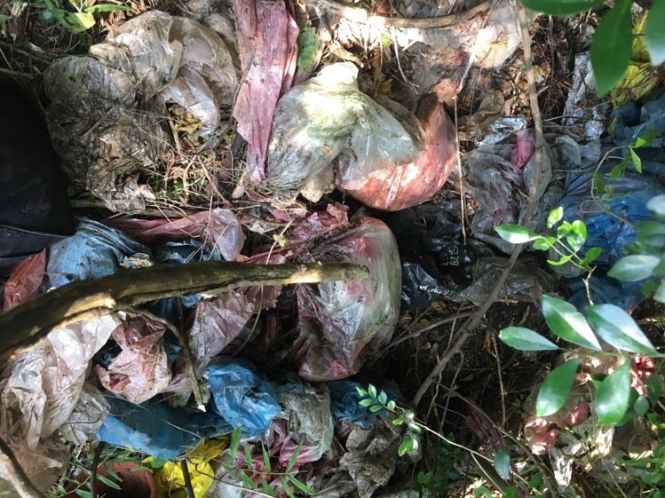 �s���ֳx���B�O�M�� �������}�����꺸�ǮȔI�J����