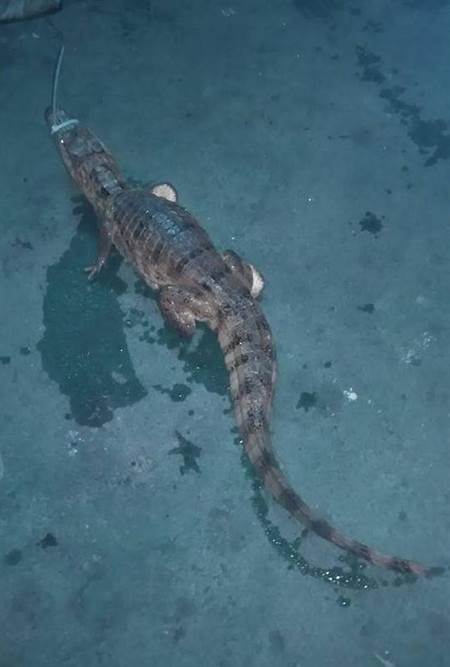 夤ʮp[ФB}o Βnyl 夤ʮp[ФB}o Βnyl