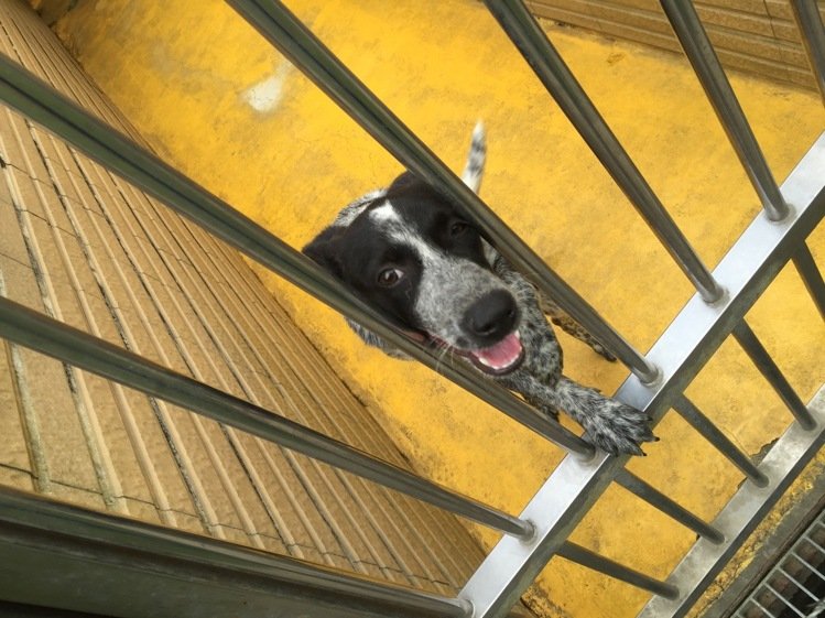 �]�V���{�X�±N�ڹj�ޤ��L�ެy���N����褣���ީ�����I���\�J���R���f���Y�N�������䲣�����ʕ[��������W�K�����p�L��