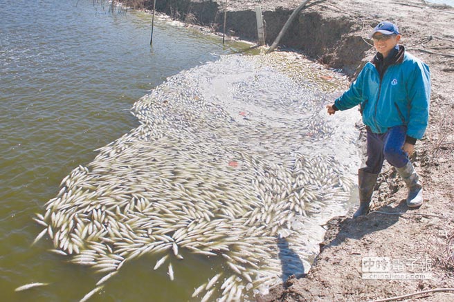 WHJwC ݨاLW롲 WHJwC ݨاLW롲