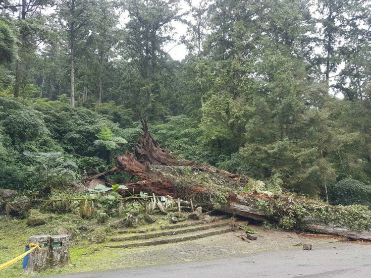 ���W�����e���̺ؓ��J�� �{��3������