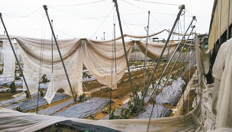 ��F�p���ϣV�v�I�[�ڣ[�������޳o�[�����