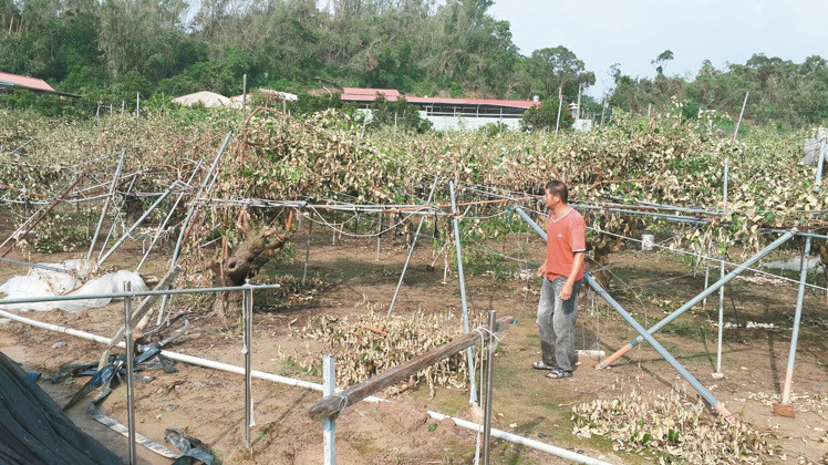 �a�^�j����������� �h���Ϸl�}�γf�s��D