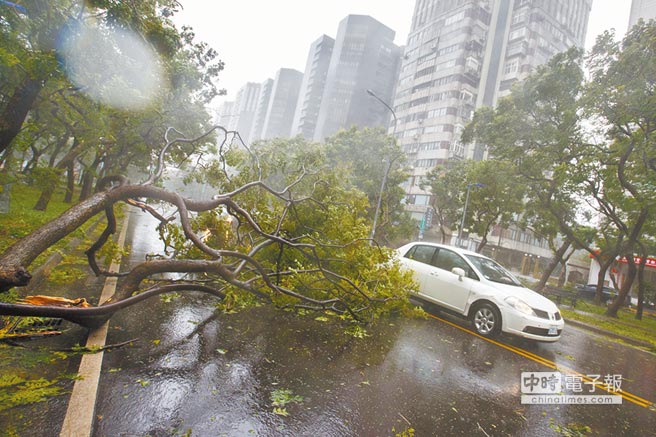 �����L�Ө����m�� �h��4�j316�ݐ��ʐ�