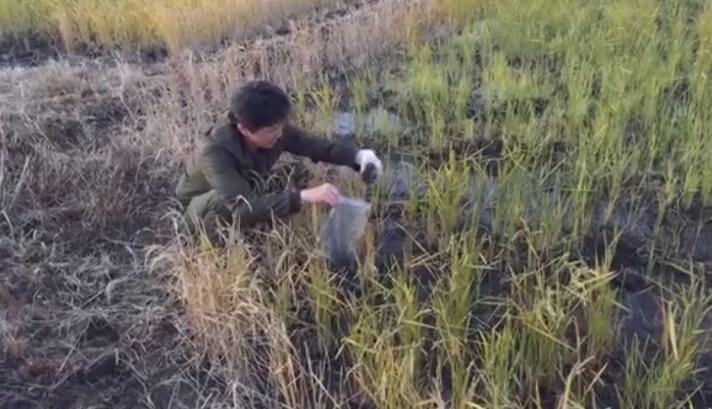 ���W�����D�饻�t�N�գ^�V�G ��ưp����}�{-137