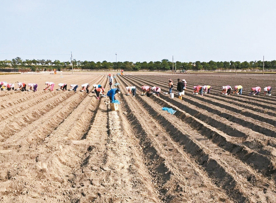 ��ا��N�|���\���O�ͱq�ϲ{�X �V�e�ג�˲��h��