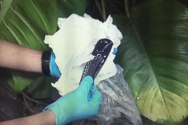 �����C�h���ڒ���ߐޔD��s���ç��o�e����