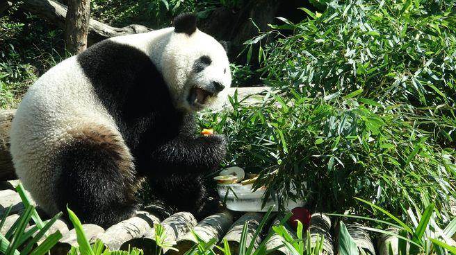 ���R�֓����Y�ԡg�ޡL���n���}�ߣx��