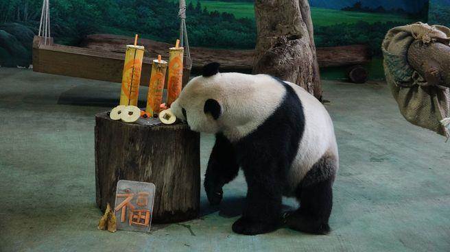 �L�������Y�s�e����ά��L�z�f���n�J�Q�А����s�X�ŔU���桲