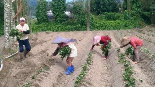 ϥnBެTfHʔZ_vޭYj㓻oFqWKpL~kGץ