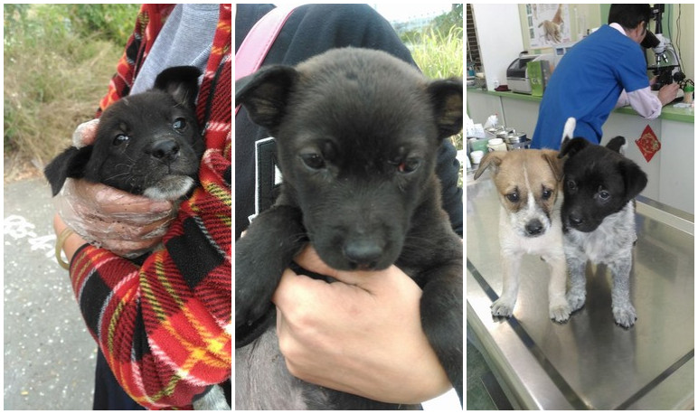 ħ���}�]�A���N��ޥ��^���Ւ͒ꤤ�_�_�e�j��