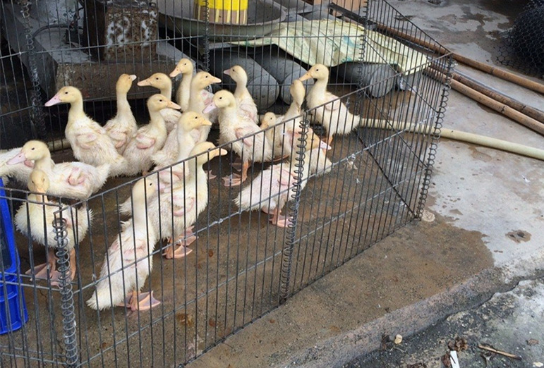 ���W���y�F�������R�� ����ͮ�`�Q���ߪF�w�������\