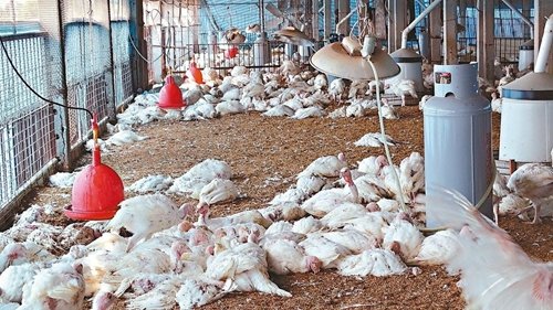 ���h�����ҕW��������j��ޥ������K�V�������W�K�����p�L�~�k�̪Ĳ�ץ���