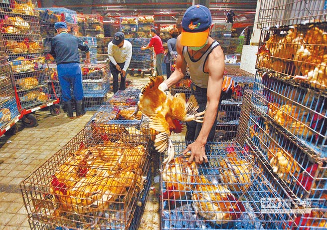 ��ا��|��ۨ�ޮ���y�F �h�岣���T�_�T��7��